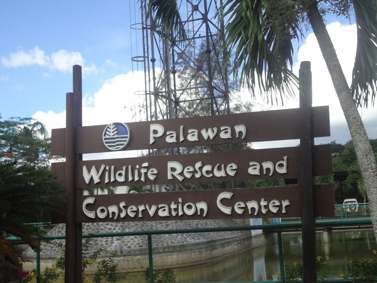 The Palawan Wildlife Rescue and Conservation Center